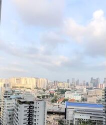Park Infinia At Wee Nam (D11), Condominium #563658291